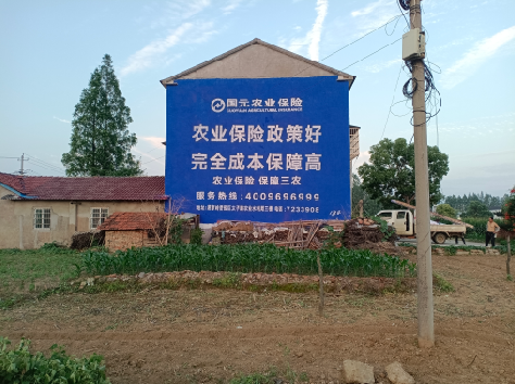 嘉鱼墙体广告为何受追捧？