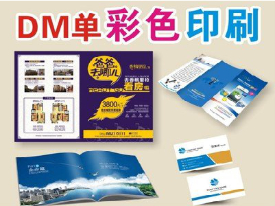 嘉鱼单页印刷，色彩搭配简单。